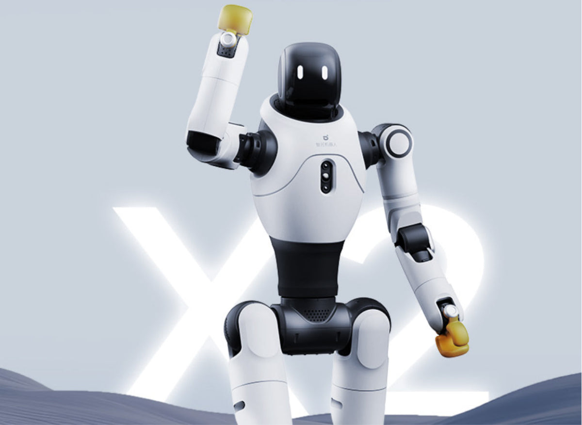 The Rise of Humanoid Robots