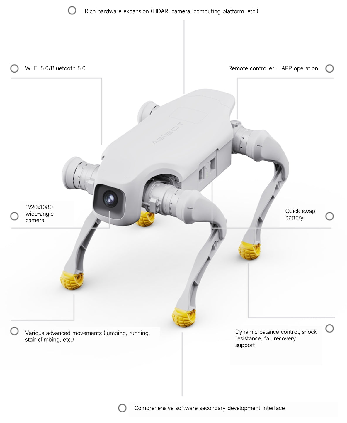 AGIBOT