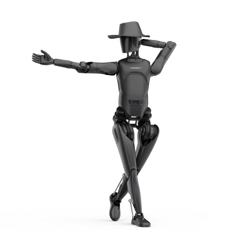 A2 Lite — image 5