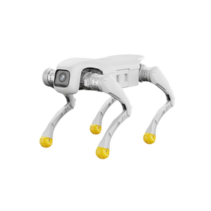 AGIBOT D1 Edu