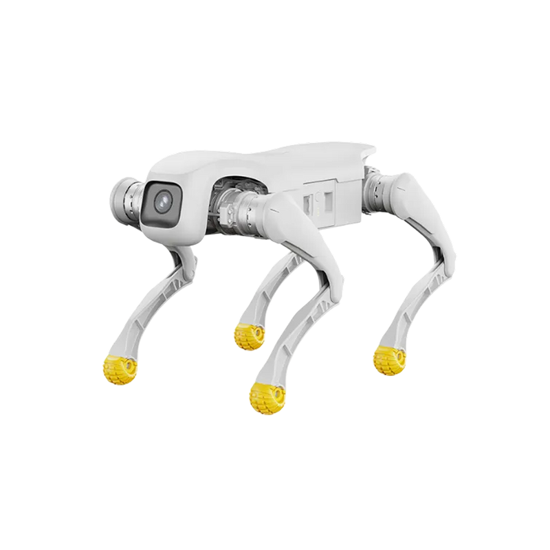 D1 Edu — image 2