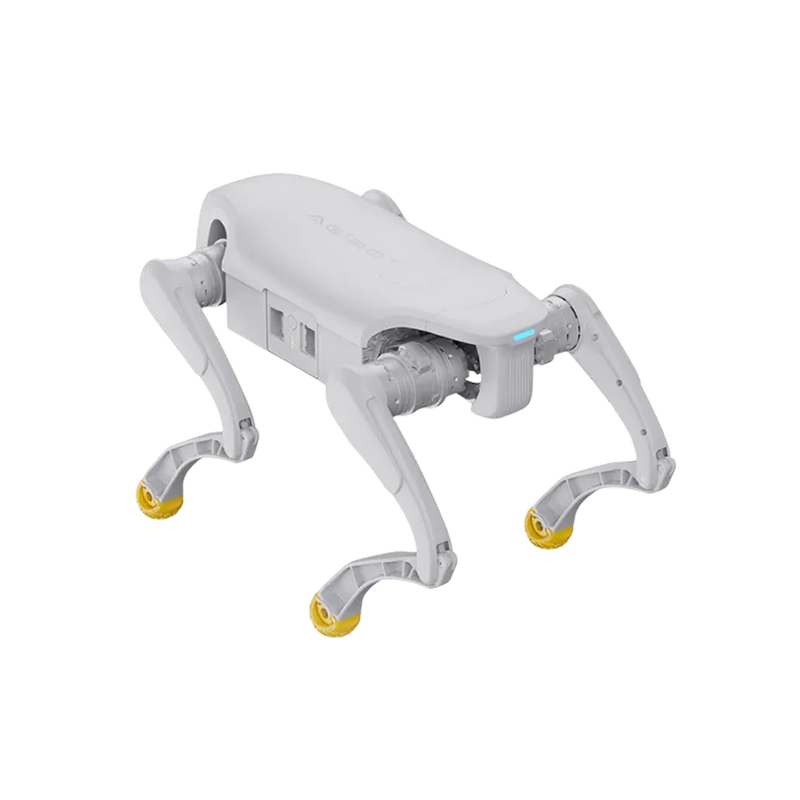 D1 Edu — image 3
