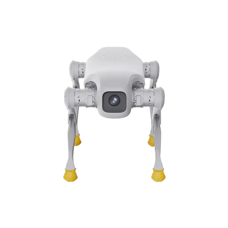 D1 Edu — image 4