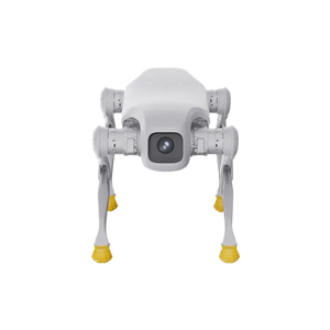 AGIBOT D1 Edu
