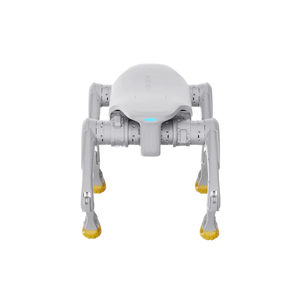 AGIBOT D1 Edu