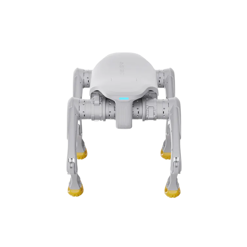 D1 Edu — image 5