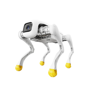 AGIBOT D1 Edu