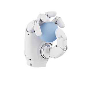 AGIBOT OmniHand 2025
