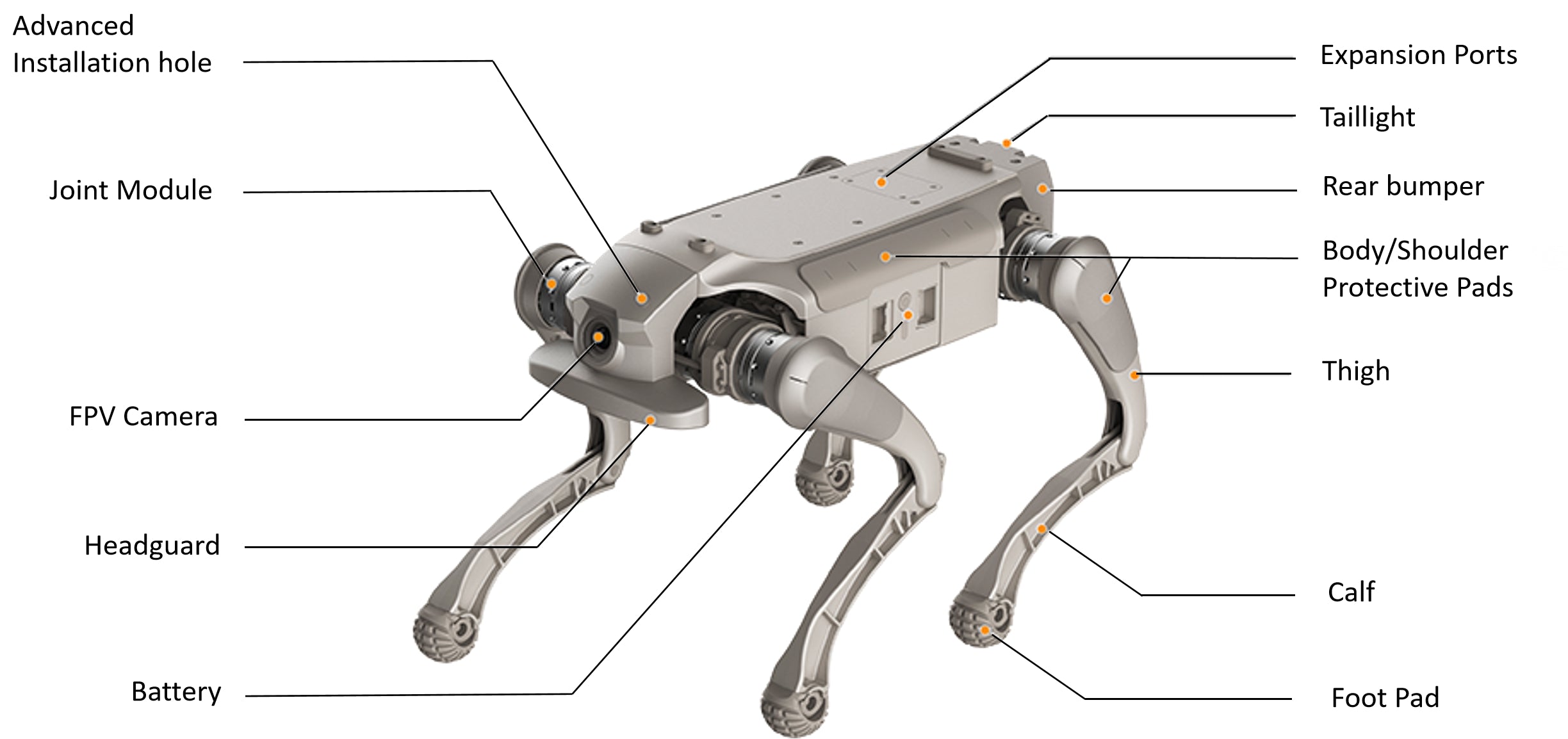 AGIBOT