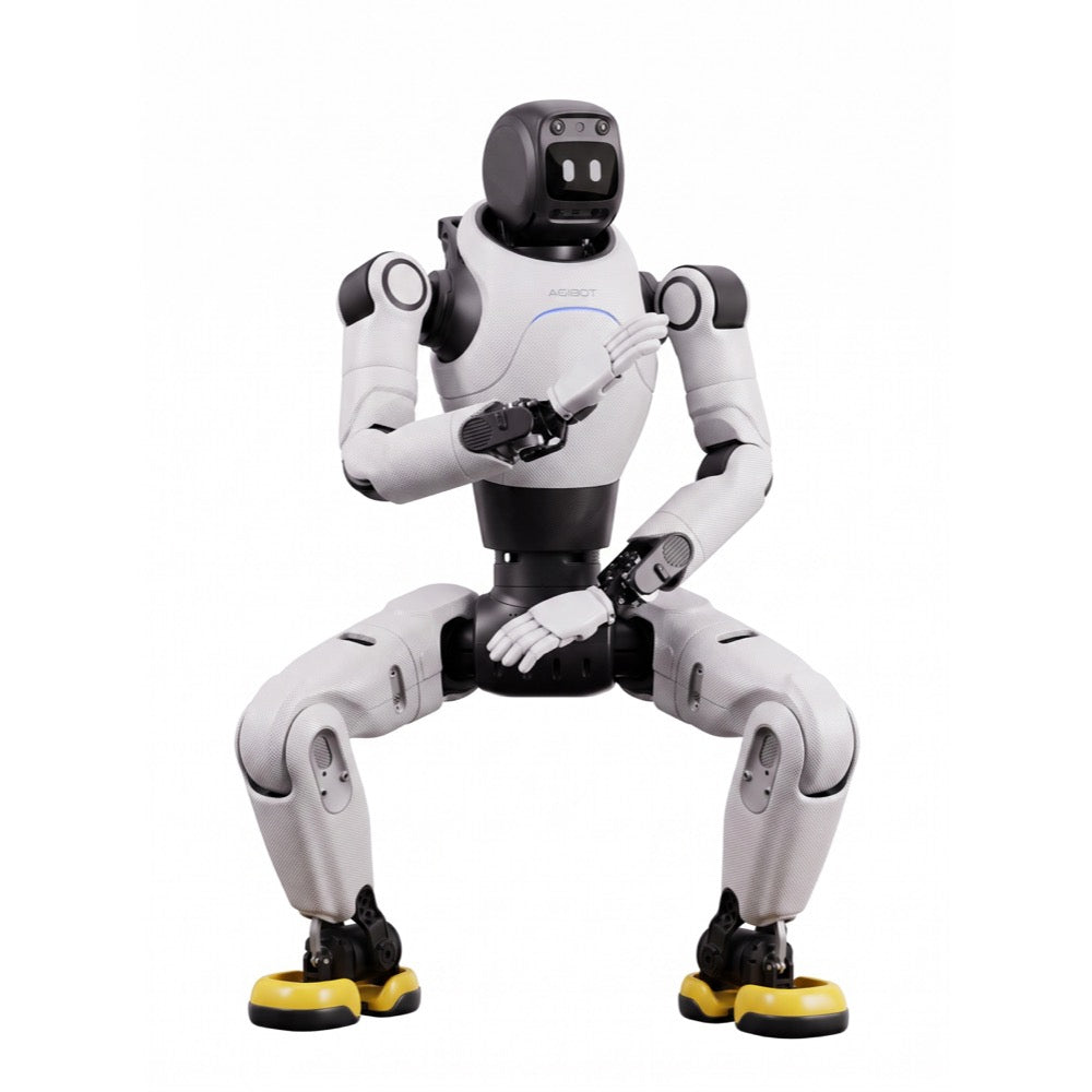 AGIBOT X2 Neo