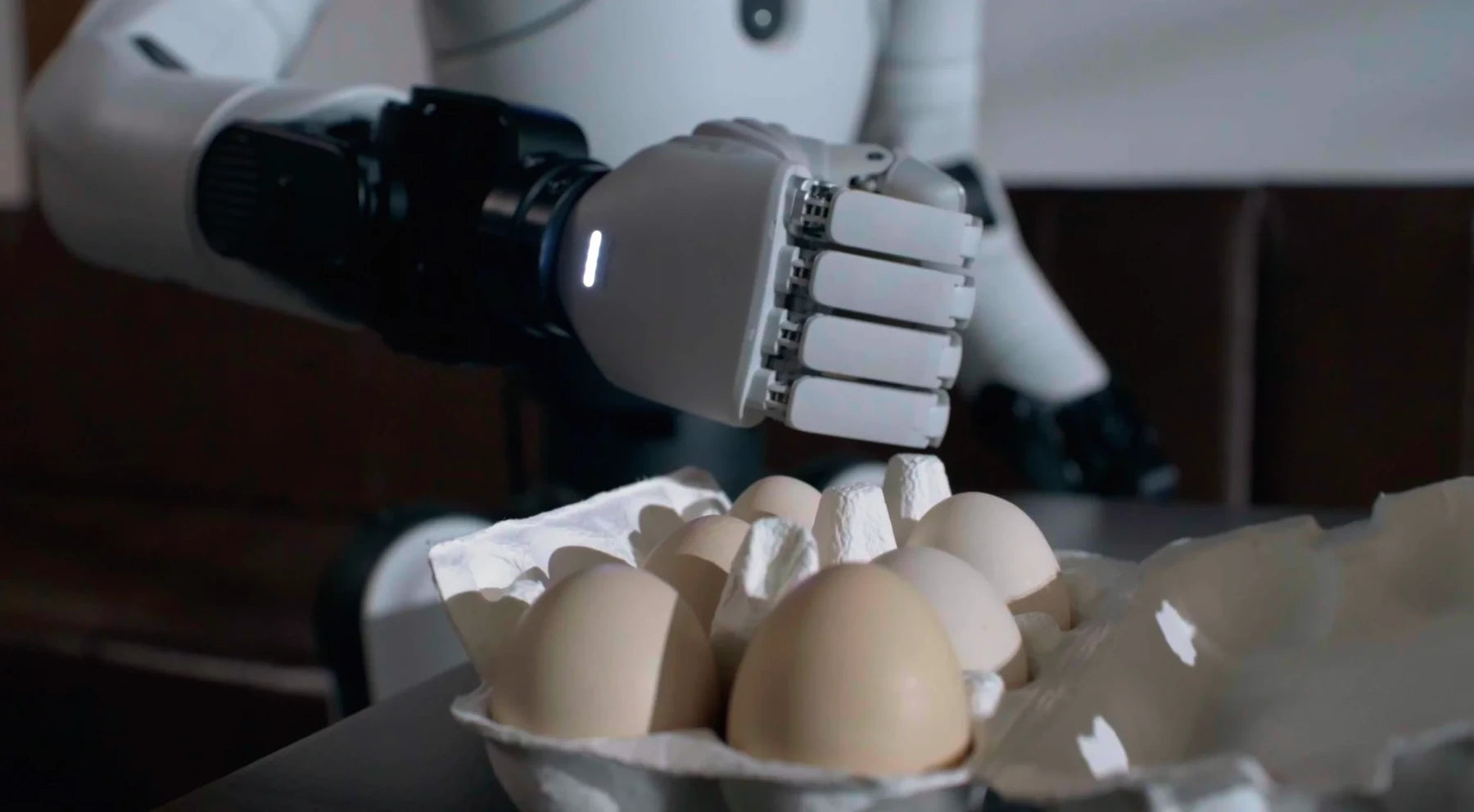 Original Lite-S hand reaching into an egg carton