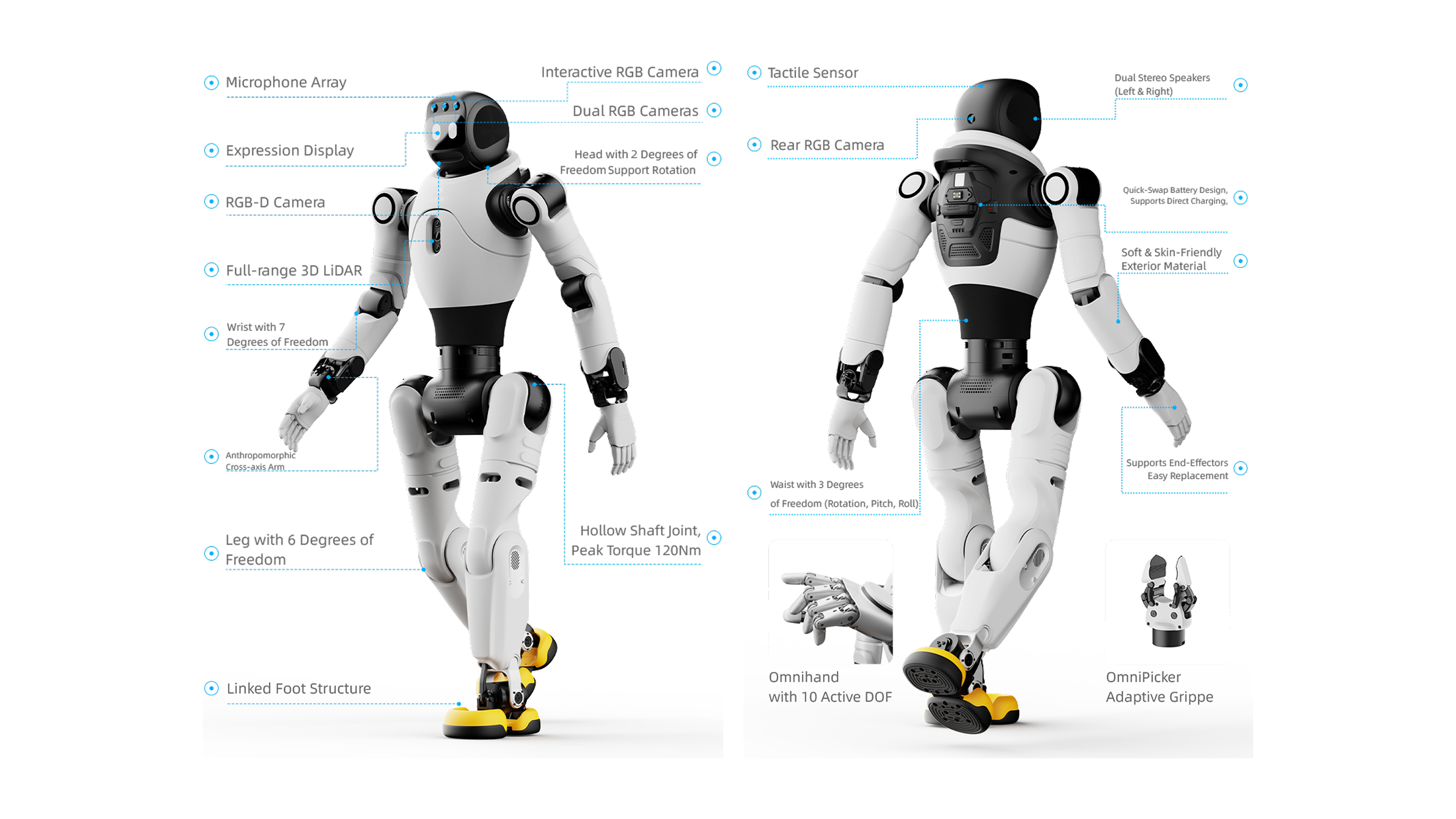 AGIBOT X2 Ultra New Version component diagram — head 2 DOF, arm 7 DOF