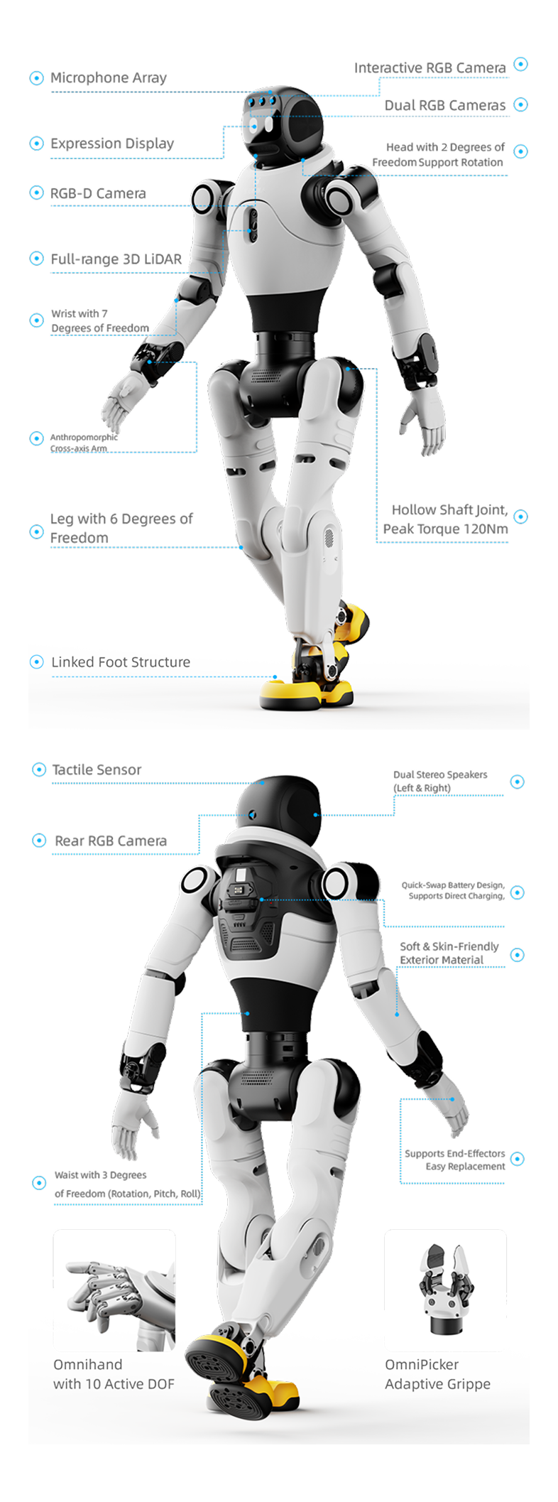 AGIBOT X2 Ultra New Version component diagram — head 2 DOF, arm 7 DOF